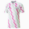 Manchester City Pre-match Jersey Men, PUMA White-Mist Green-Mauve Pop, small-SEA