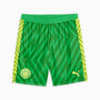 Szorty bramkarskie Manchester City, Grassy Green-Yellow Alert, small