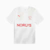 Denmark Handball Men's Away Jersey, PUMA White-PUMA Red, small
