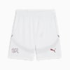 Męska replika spodenek do piłki nożnej reprezentacji Szwajcarii, PUMA White-Team Regal Red, small