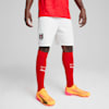 Austria 2024 Shorts Men, PUMA White-PUMA Black, small