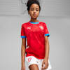 Camiseta de local de la República Checa 2024 de fútbol juvenil, For All Time Red-Fast Red, small