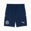 Paraguay 2024 Shorts Men, Persian Blue-Dusty Aqua, small