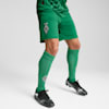 Shorts Borussia Mönchengladbach 24/25 da uomo, Archive Green-PUMA Black, small