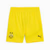 Borussia Dortmund 24/25 Shorts Men, Faster Yellow-PUMA Black, small