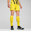 Borussia Dortmund 24/25 Shorts Men, Faster Yellow-PUMA Black, small