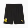 Borussia Dortmund 24/25 Shorts Men, PUMA Black-Faster Yellow, small