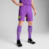 Borussia Dortmund 24/25 Shorts Men, Purple Glimmer-Yellow Alert, small