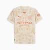 Manchester City 24/25 Goalkeeper Short Sleeve Jersey Men, Alpine Snow-Putty, small