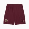 Manchester City 24/25 Shorts Men, Dark Jasper, small-THA