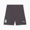 AC Milan 24/25 short voor heren, Shadow Gray-Fresh Mint, small