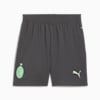 AC Milan 24/25 short voor jongeren, Shadow Gray-Fresh Mint, small