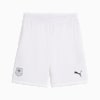 Stade Rennais F.C. 24/25 Shorts Men, PUMA White-PUMA Black, small