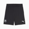 Stade Rennais F.C. 24/25 Shorts Men, Flat Dark Gray-PUMA White-PUMA Black, small