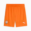 FC Shakhtar Donetsk 24/25 Shorts Men, Rickie Orange-PUMA Black, small