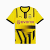 Borussia Dortmund 24/25 Cup Jersey Men, Faster Yellow-PUMA Black, small-IDN