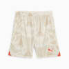 Torwartshorts Herren, Alpine Snow, small