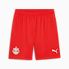 Short 24/25 FC Red Bull Salzburg Homme, PUMA Red-PUMA White, small
