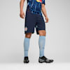 FC Red Bull Salzburg 24/25 Shorts Men, Club Navy-PUMA Red, small