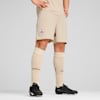 FC Red Bull Salzburg 24/25 Shorts Herren, Granola-Team Regal Red, small