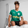 Power Green