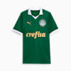 Palmeiras Fans 2024 Heimtrikot Herren, Power Green, small