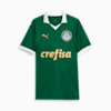 Camiseta para hombre local '24 Palmeiras Fans, Power Green, small