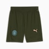 Manchester City Training Shorts Men, Myrtle-Bold Blue, small-PHL