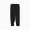 Borussia Dortmund ftblMONOCHROME Pants Men, PUMA Black, small