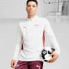 RB Leipzig Quarter-zip Training Top Men, PUMA White-Club Red, small