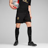AC Milan Training Shorts Men, PUMA Black-For All Time Red, small-PHL
