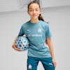 Olympique de Marseille Training Jersey Youth, Bold Blue-Putty, small