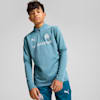 Olympique de Marseille Quarter-Zip Training Top Youth, Bold Blue-Putty, small