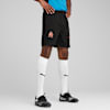 Olympique de Marseille Training Shorts Men, PUMA Black-PUMA Copper, small