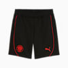 FC St. Pauli Casuals Shorts Men, PUMA Black-PUMA Red, small