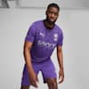 Al-Hilal SFC 24/25 Third Replica Jersey Men, Team Violet-PUMA Black, small