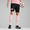 Palermo F.C. 24/25 Home Shorts Men, PUMA Black-Team Light Pink, small