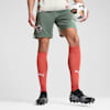 Palermo F.C. 24/25 Ausweichshorts Herren, Eucalyptus, small