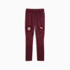 Manchester City Training Pants Youth, Dark Jasper, small