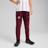 Manchester City Training Pants Youth, Dark Jasper, small