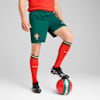 Portugal 2025 Shorts Men, Blessing Green-Sugared Almond, small-THA