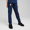 Sur fond gris, un mannequin porte un pantalon bleu marine avec badge, couture colorée et baskets noires.