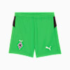 Chaussettes 25/26 Borussia Mönchengladbach Enfant et Adolescent, PUMA Green-Warm White, small
