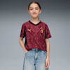 Galatasaray SK 25/26 derde shirt voor jongeren, Team Regal Red-Puma Team Gold, small