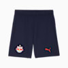 FC Red Bull Salzburg 25/26 Shorts Men, New Navy-PUMA Red, small