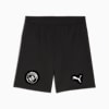 Manchester City 25/26 Shorts Men, PUMA Black, small-VNM