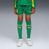 Borussia Dortmund 25/26 Goalkeeper Shorts Youth, Archive Green-Intense Orange, small