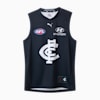 Carlton Football Club 2025 Women's Replica Home Guernsey, Dark Navy-PUMA White-CFC, small-AUS