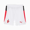 Swatch for PUMA White-For All Time Red