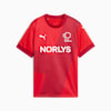 Danish Handball Federation 24/25 Home Jersey Youth, PUMA Red-Dark Cherry, small